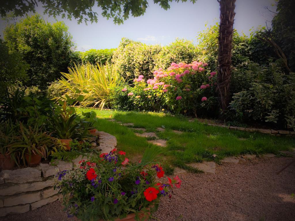 Bed & Breakfast Don Carlos San Martino di Lupari Dış mekan fotoğraf