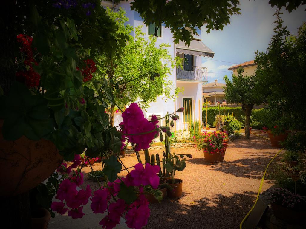 Bed & Breakfast Don Carlos San Martino di Lupari Dış mekan fotoğraf