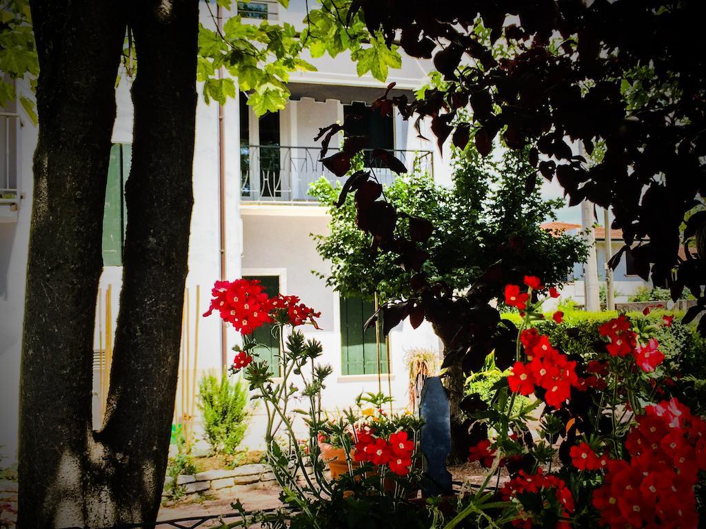 Bed & Breakfast Don Carlos San Martino di Lupari Dış mekan fotoğraf